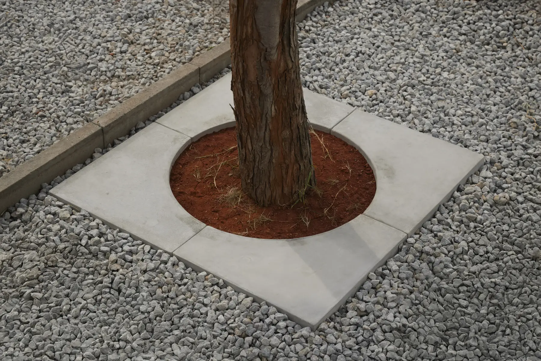 Precast concrete tree guard around a tree trunk, made of square slabs with a circular opening filled with red soil, set in gravel