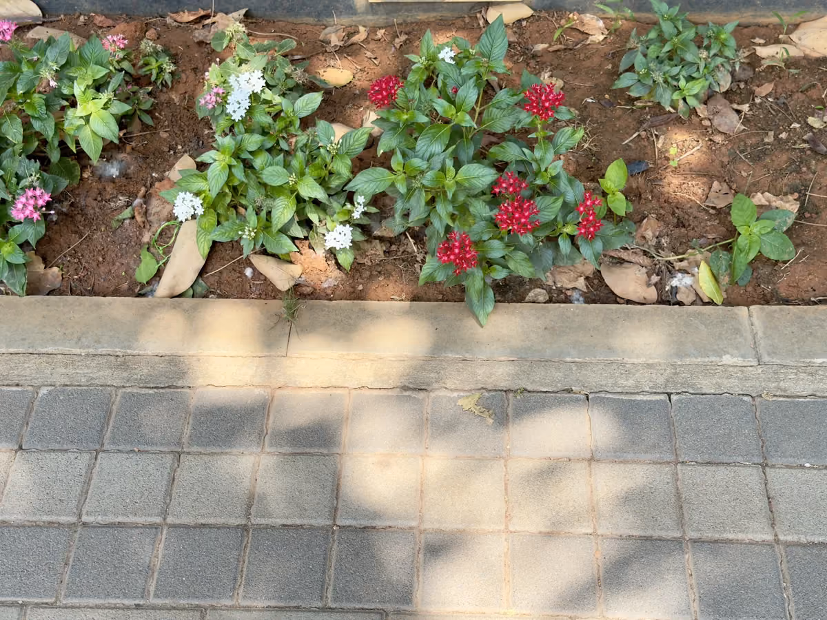 Sri Sri Sri Balagangadharanatha Swamy Park, Bengaluru