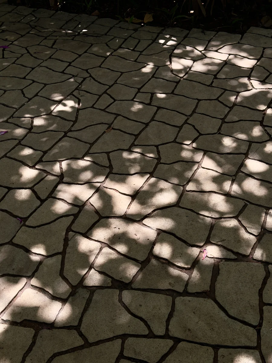 Polygon Beauty at Chaitanya Sharan, Bengaluru