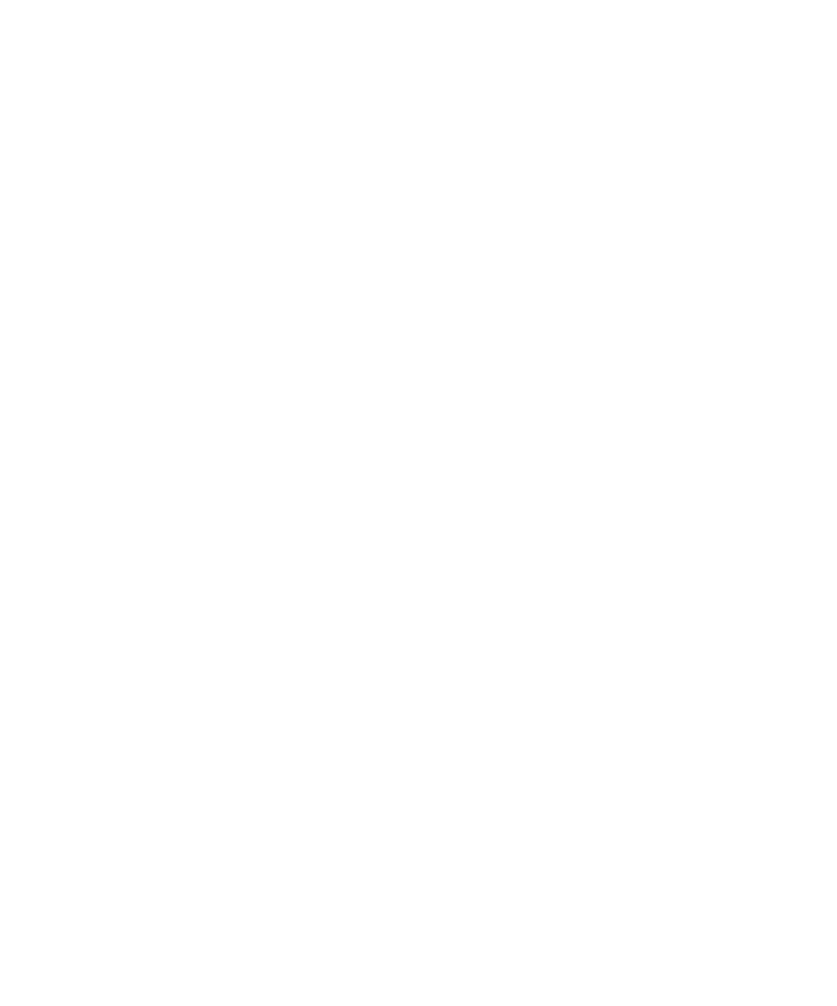 Ofir Group logo