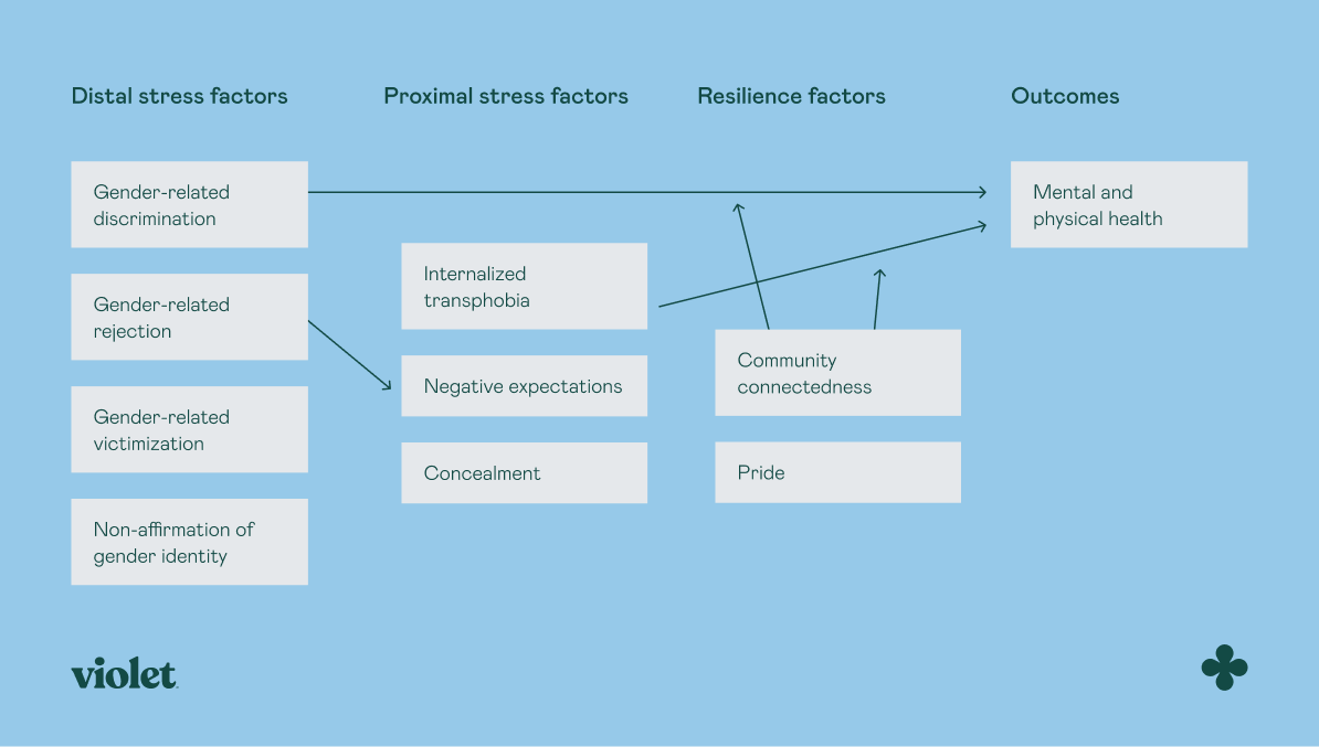 Chart showing distal stress factors, proximal stress factors, resilience factors, and outcomes on the minority stress framework.