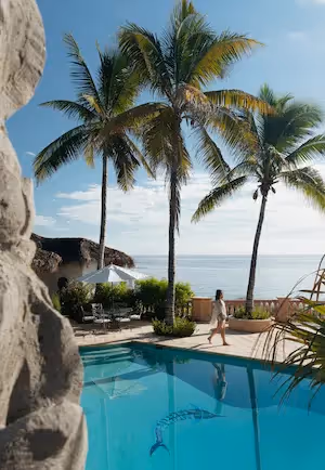 Piscina exterior rodeada de palmeras frente al mar en La Valise Los Cabos.