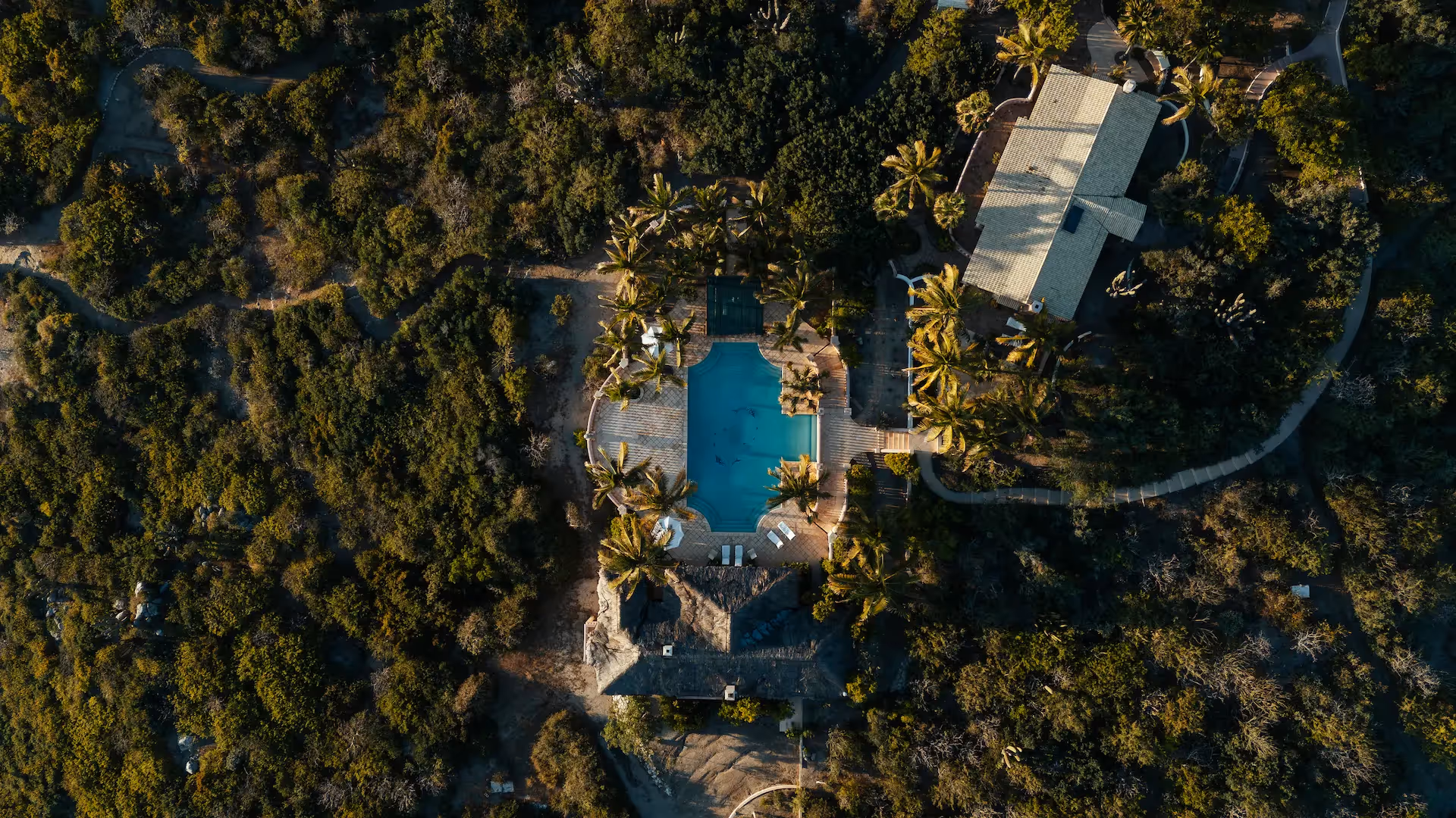 Aerial view of the turquoise swimming pool nestled in the exotic vegetation of La Valise Los Cabos hotel.