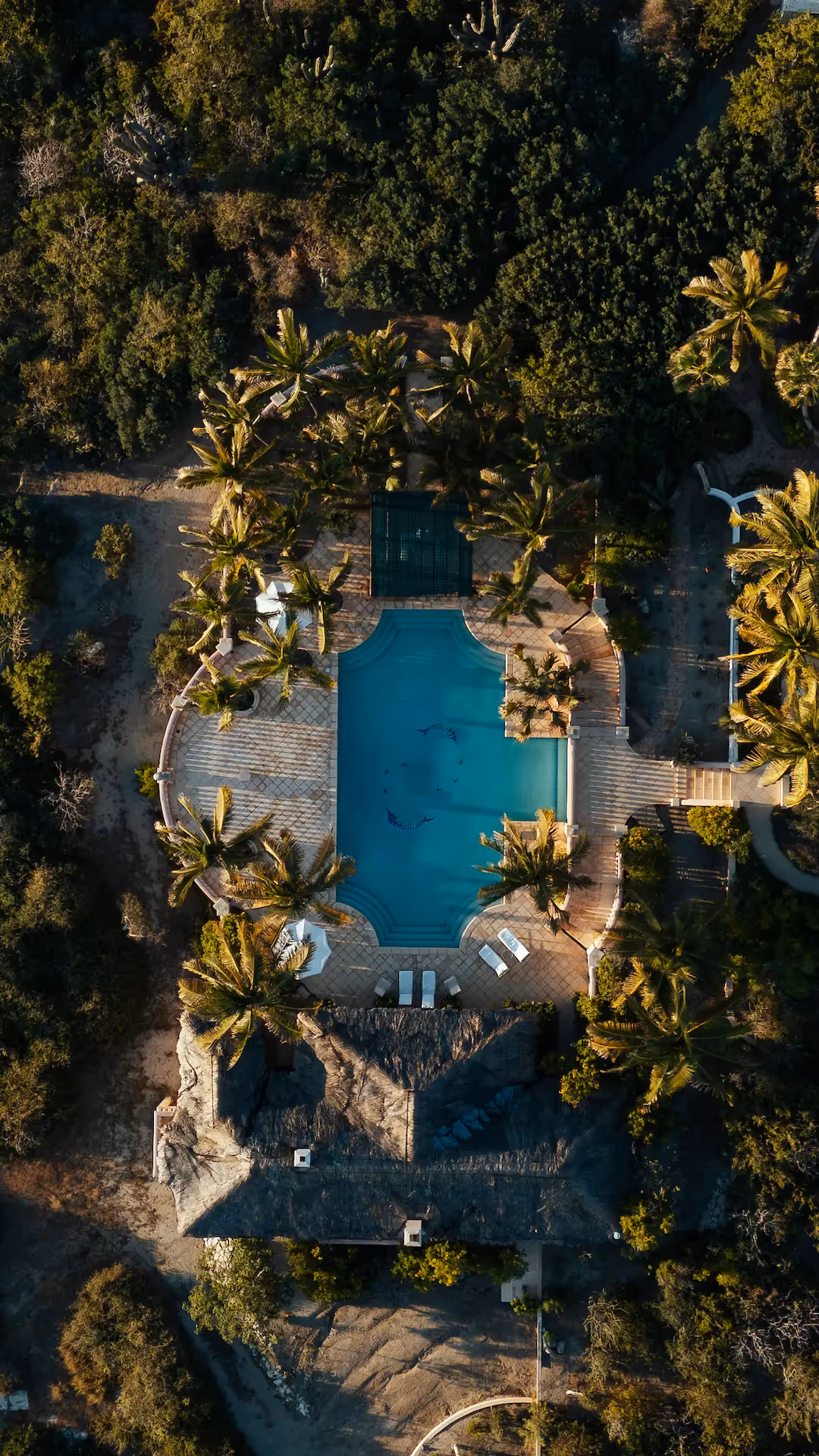 Aerial view of the turquoise swimming pool nestled in the exotic vegetation of La Valise Los Cabos hotel.