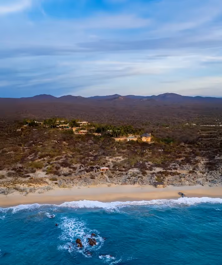 Cóctel tropical con una rodaja de lima y un tazón de fruta fresca al borde de la piscina turquesa del hotel La Valise Tulum.
