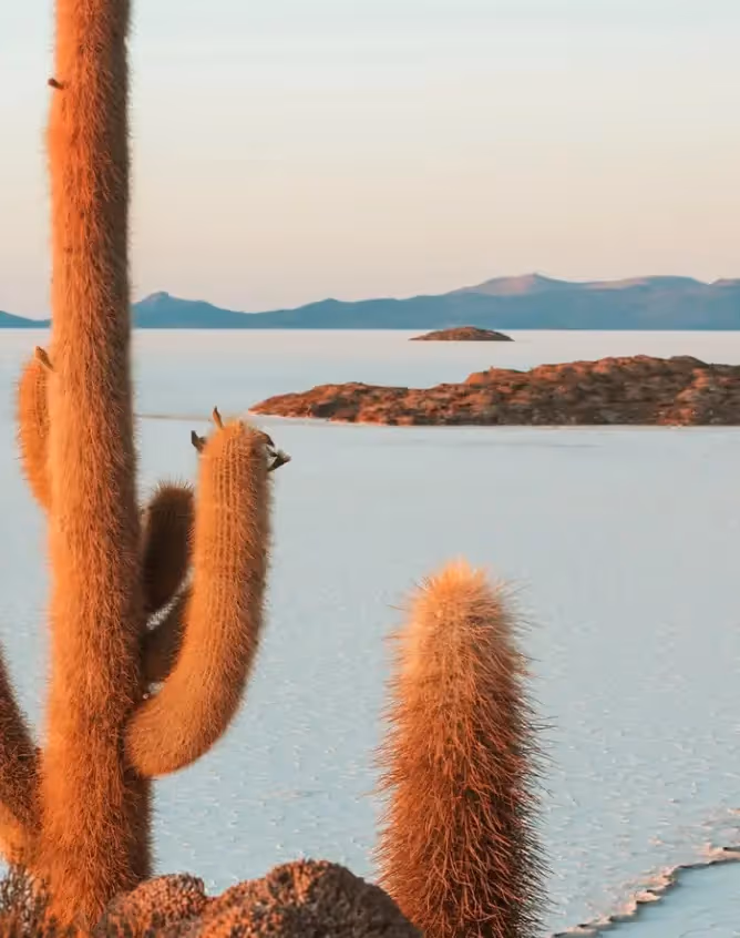 Una pareja caminando de la mano por la playa de arena blanca frente al hotel La Valise Los Cabos, enmarcada por palmeras tropicales y aguas turquesas del Caribe.
