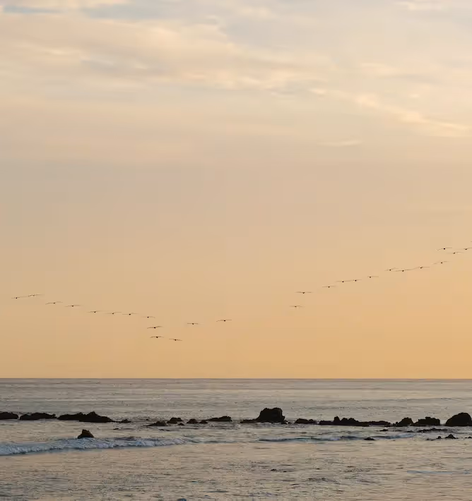 Sereno paisaje al atardecer en la playa de Los Cabos, cerca del hotel La Valise Los Cabos.