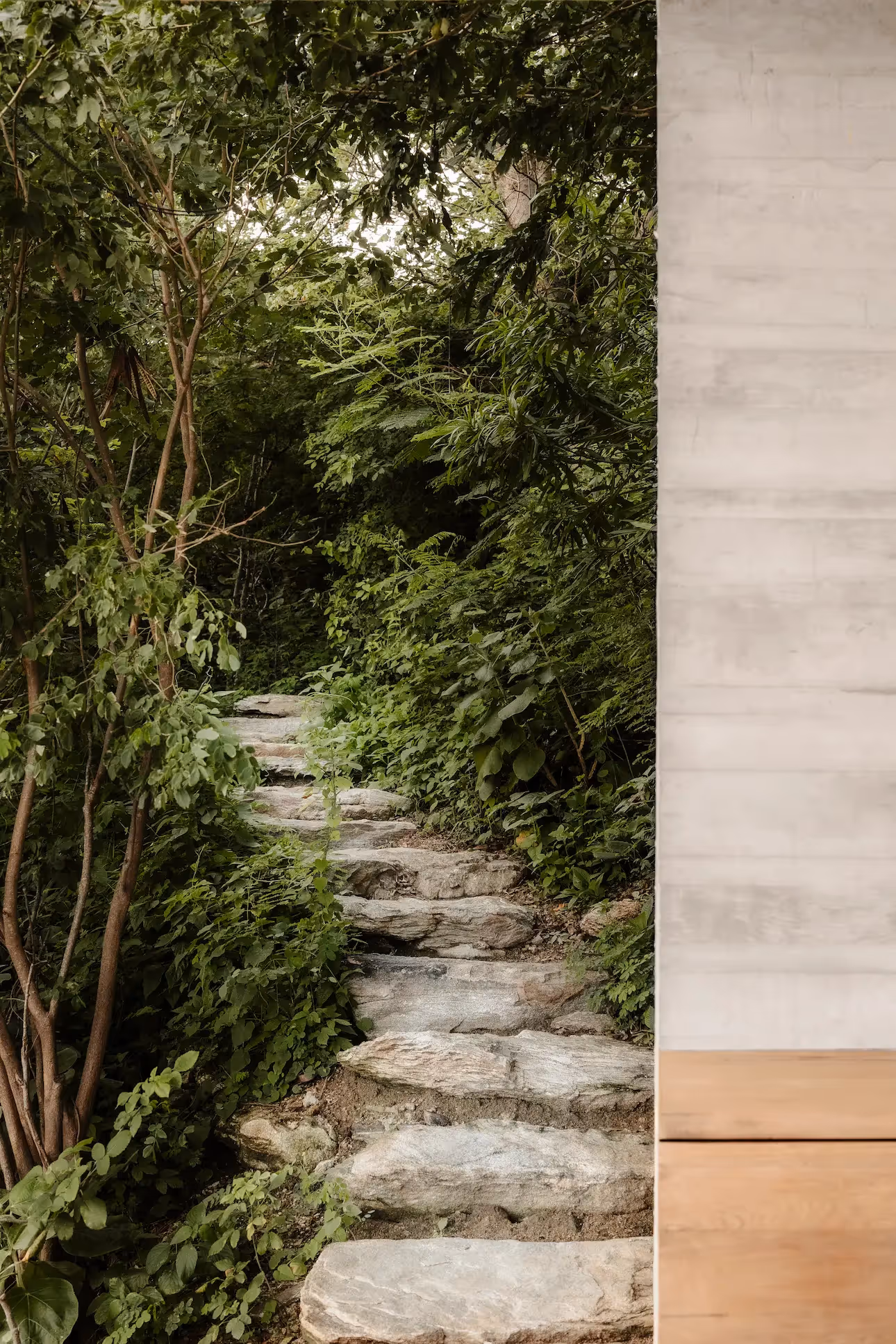 Picturesque stone path through the tropical forest leading to the suites at La Valise Mazunte Hotel.