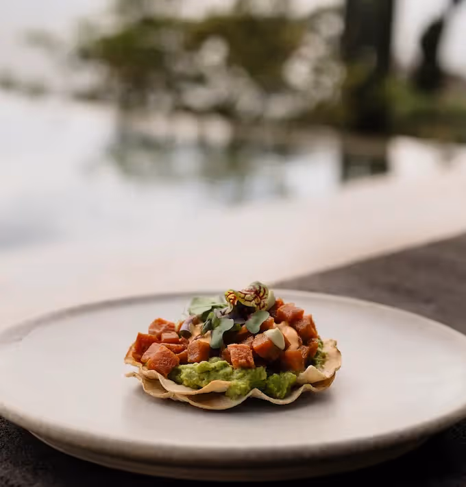Fresh tuna and avocado tostada served at La Valise Mazunte Hotel restaurant, with an infinity pool in the background.
