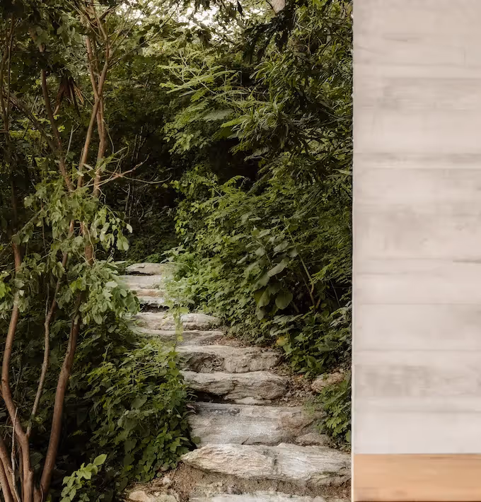 Natural stone pathway winding through lush tropical greenery at La Valise Mazunte Hotel restaurant.