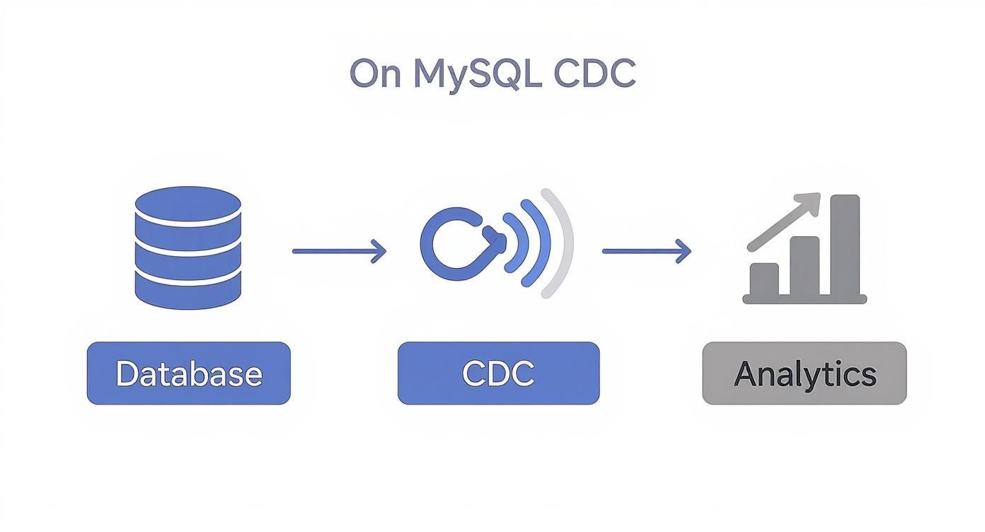 Infographic about change data capture mysql