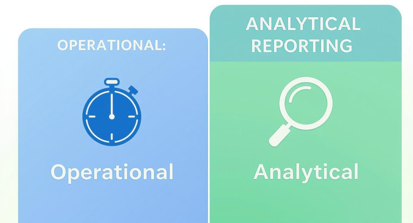 Image illustrating the difference between operational reporting (stopwatch) and analytical reporting (magnifying glass).