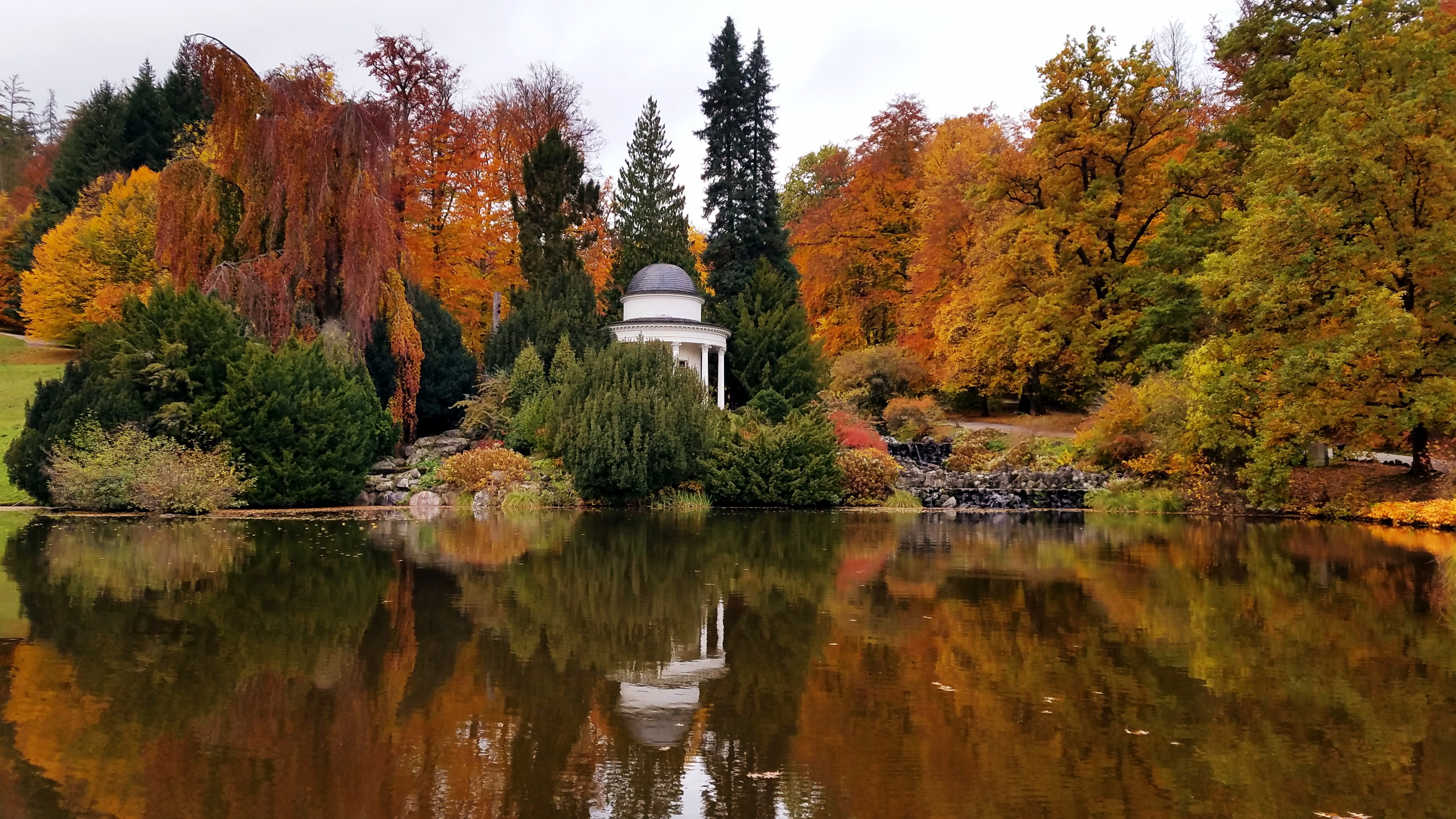 Vier lachende junge Erwachsene, zwei halten eine bunte Schüssel mit Salat und Falafel vor einem orangefarbenen Hintergrund.