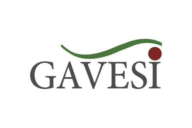 GAVESI Event & Catering