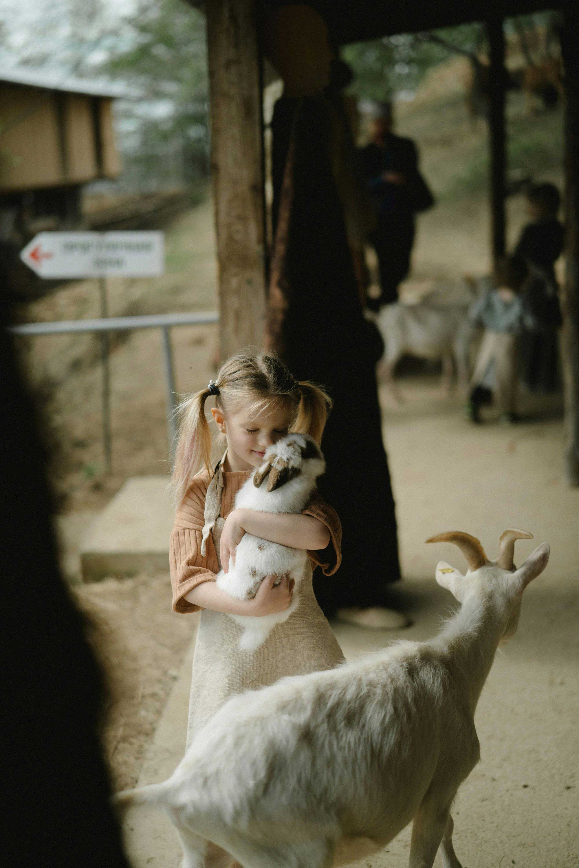 pet with owner