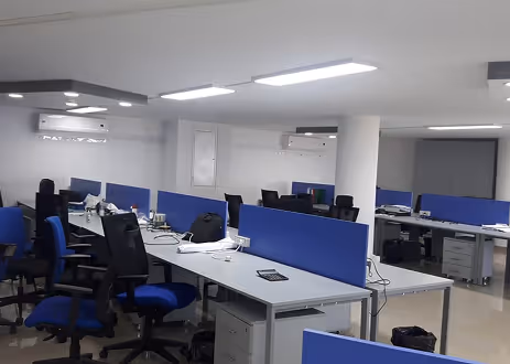 Open-plan office with blue acoustic desk dividers reducing noise between workstations.