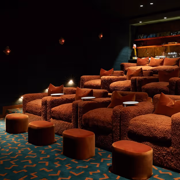 Home cinema with curved acoustic ceiling, terracotta tub seats, and patterned carpet.