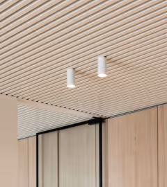 Timber slat acoustic ceiling with recessed downlights in a modern interior.