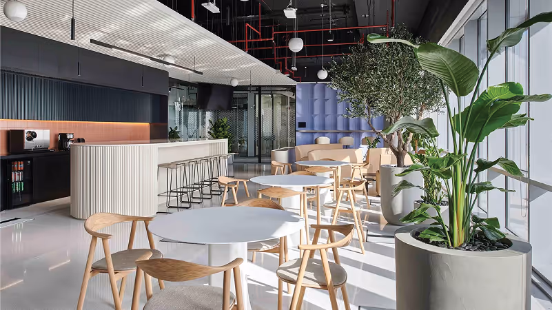 Bright office breakout cafe with acoustic ceiling and upholstered banquette seating.