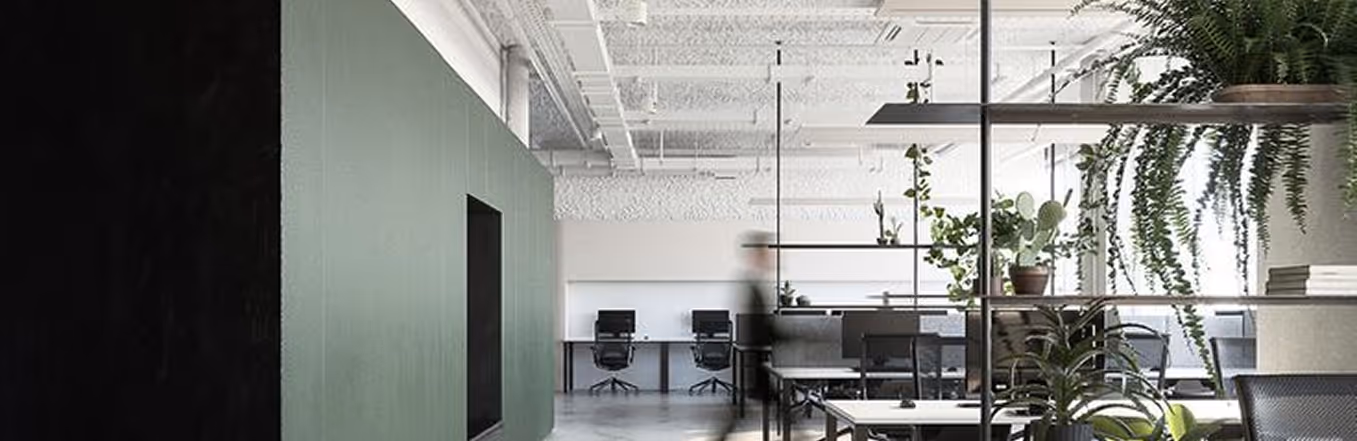 Modern office with green acoustic wall cladding, glass partition and abundant plants.