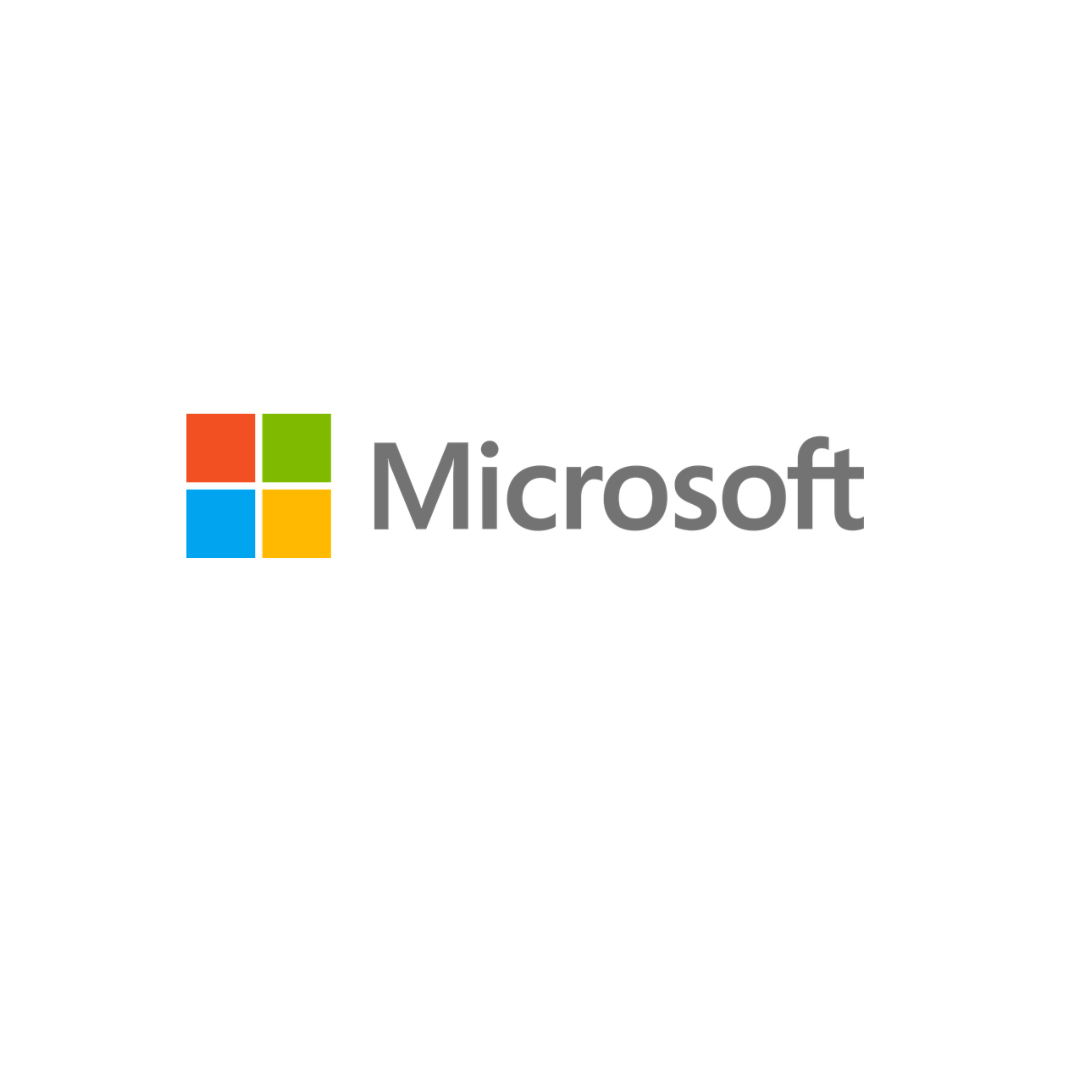 Microsoft Partner