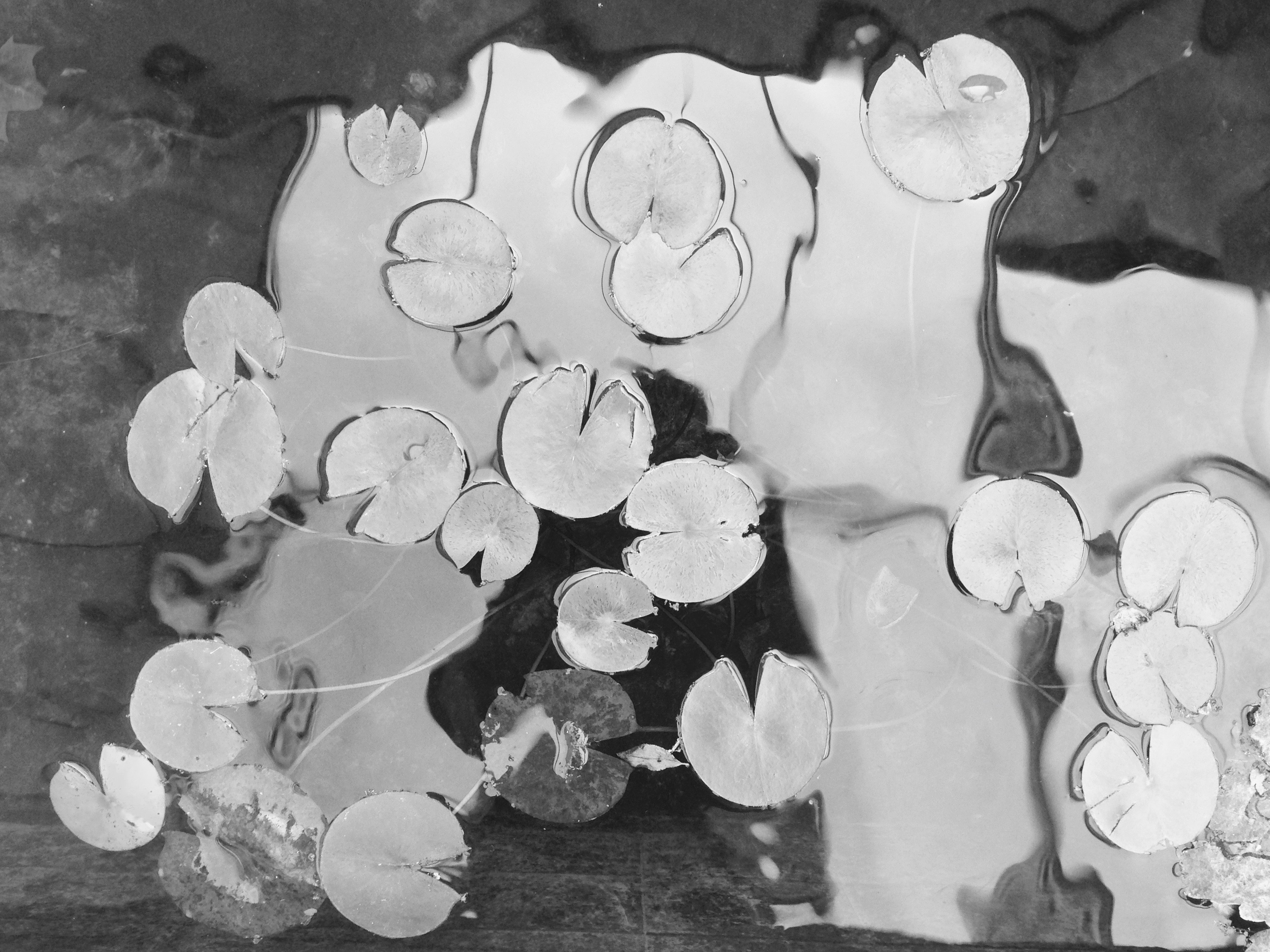Close-Up Shot of Two Men Wearing White Shirt on White Background