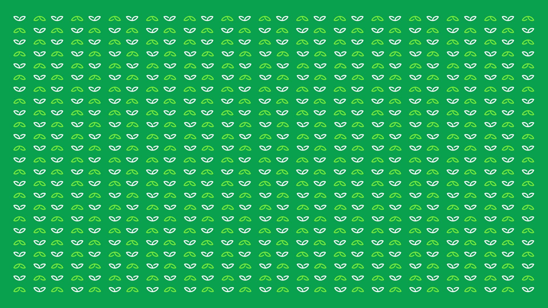 Patrón gráfico en verde de Sembrá con hojas ilustrativas para branding