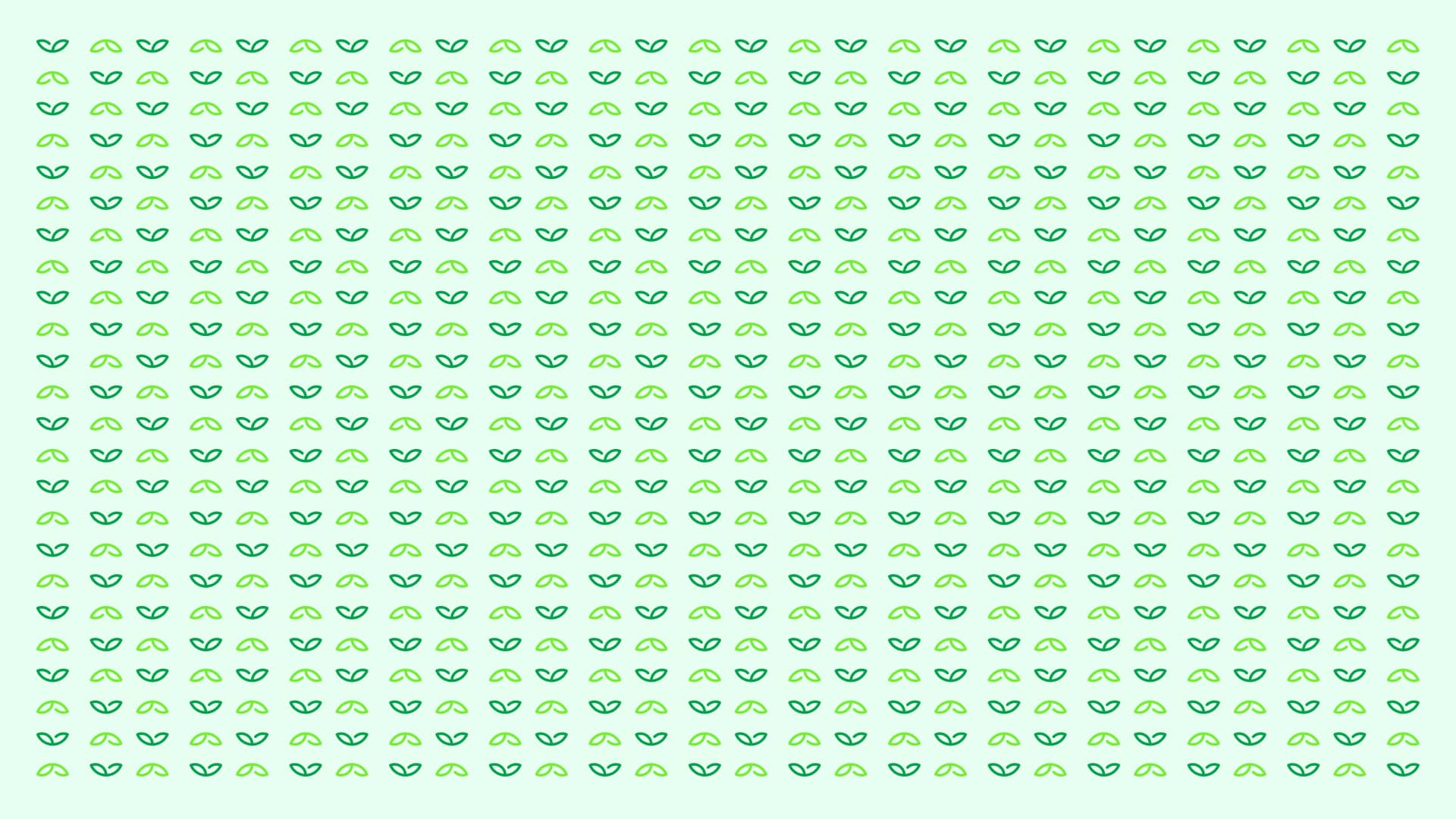 Patrón gráfico en blanco de Sembrá con hojas ilustrativas para branding