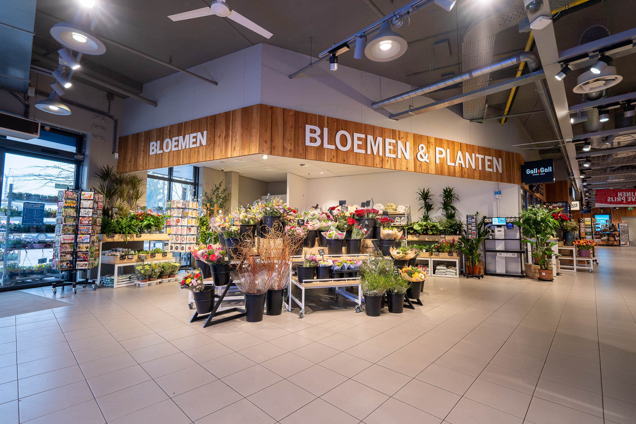 Bloemen- en plantenafdeling in een winkel met diverse boeketten en planten in zwarte emmers en op rekken.