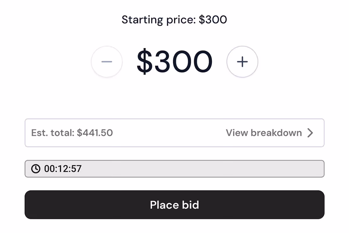 Screenshot showing a starting bid of $300 in Autura Marketplace