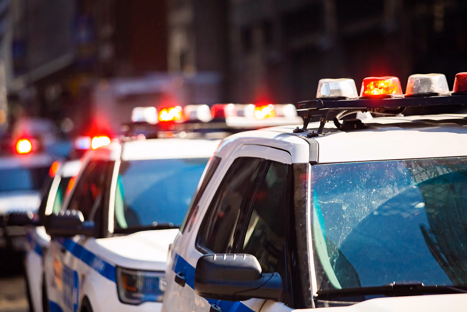 Police cars driving in a row with their lines on