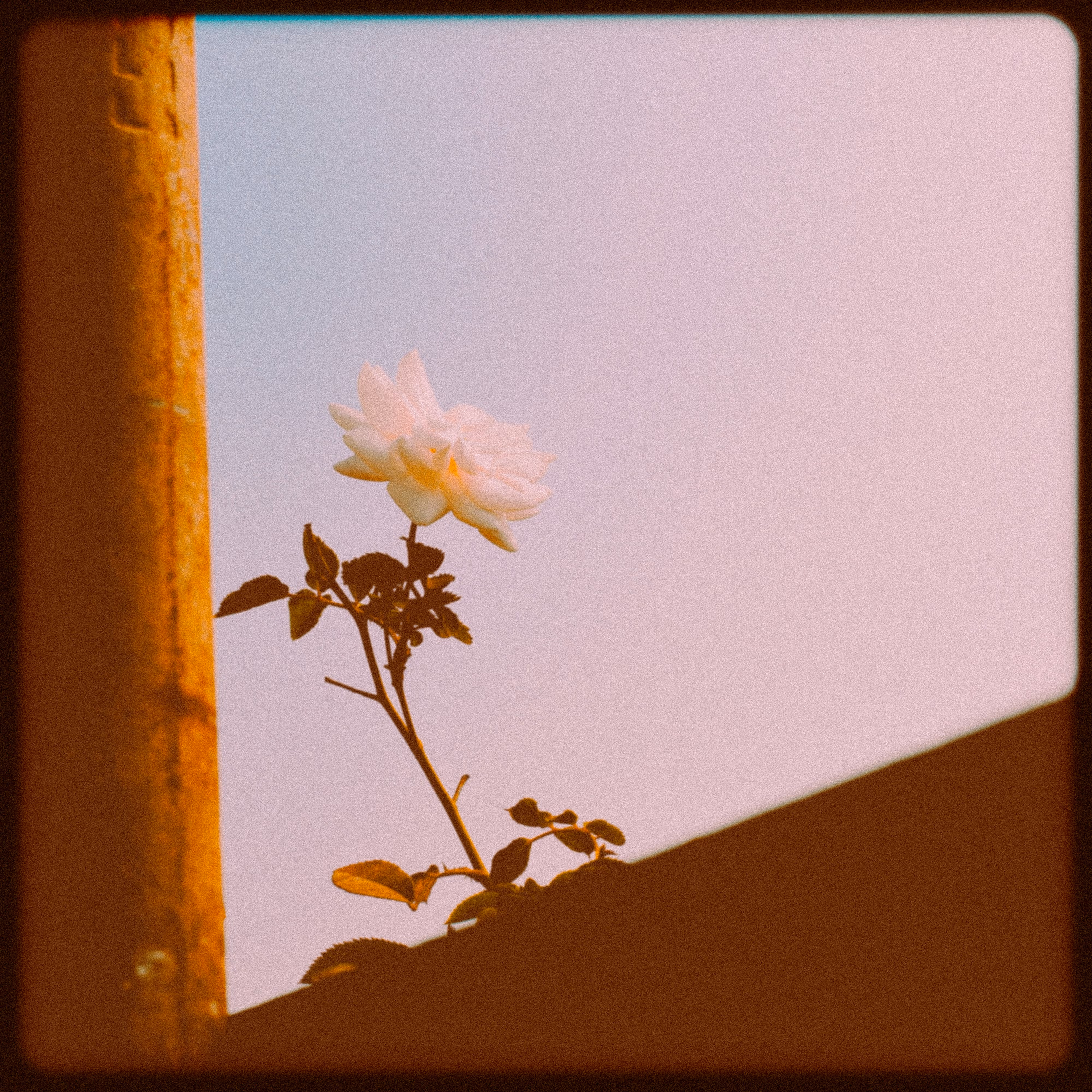 Faithful With the Few