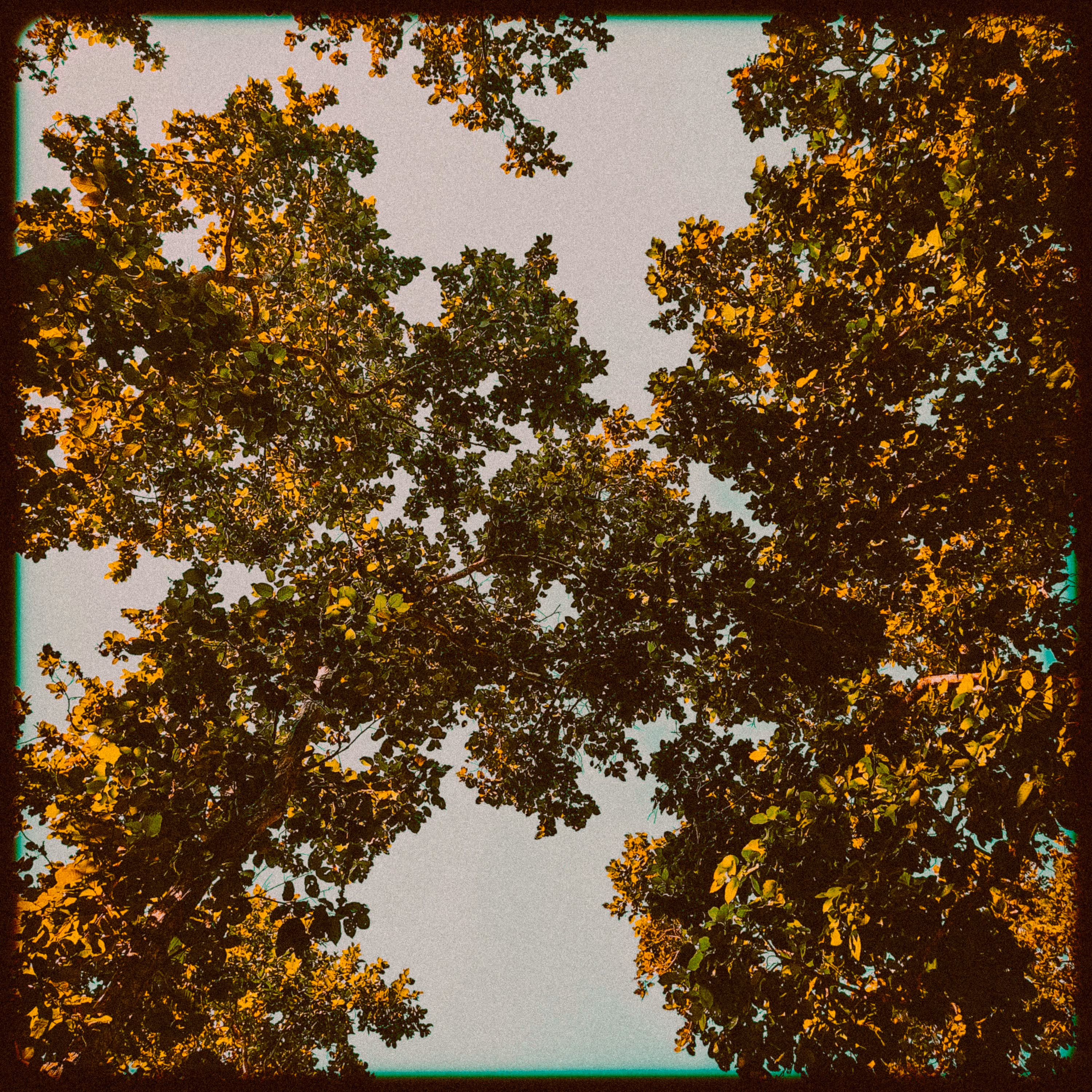 The Gratitude Effect