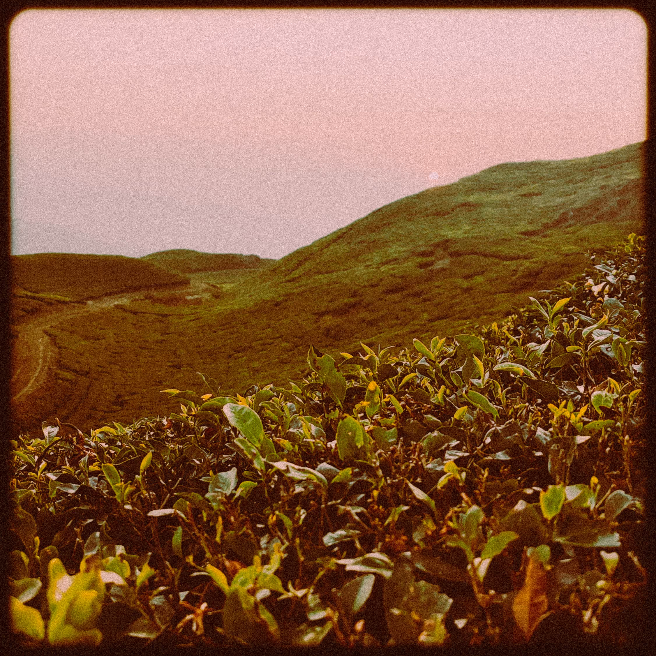 The heavy price of prosperity.