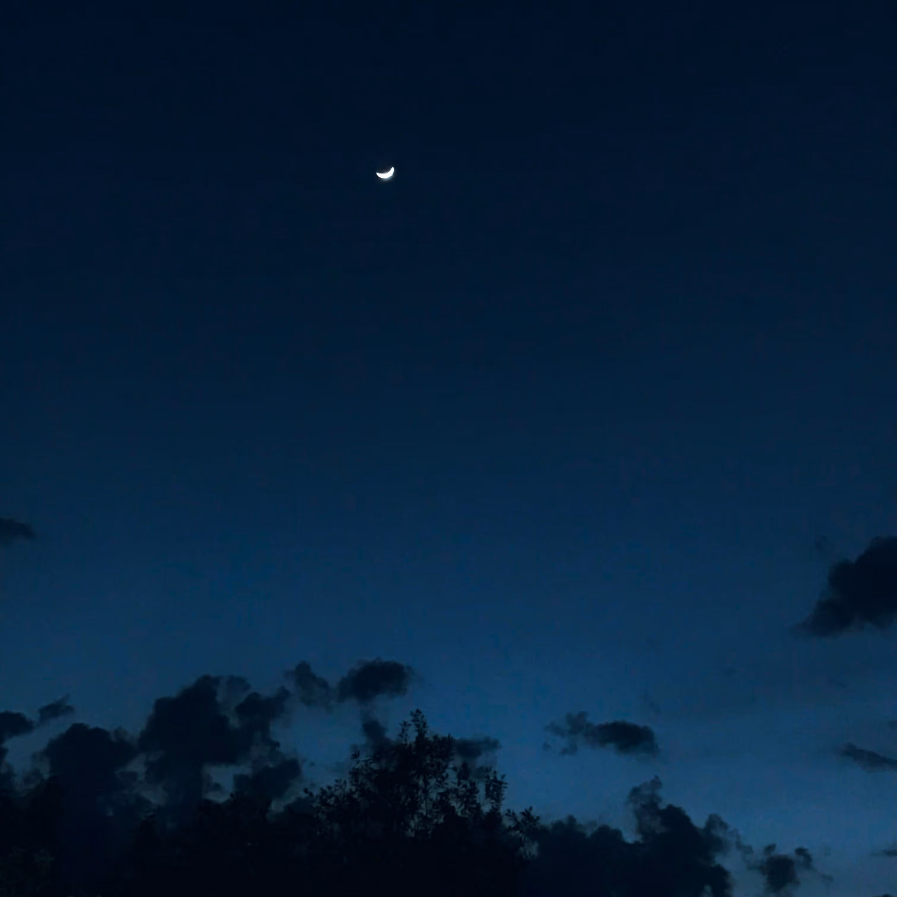 How to Cultivate Discipline