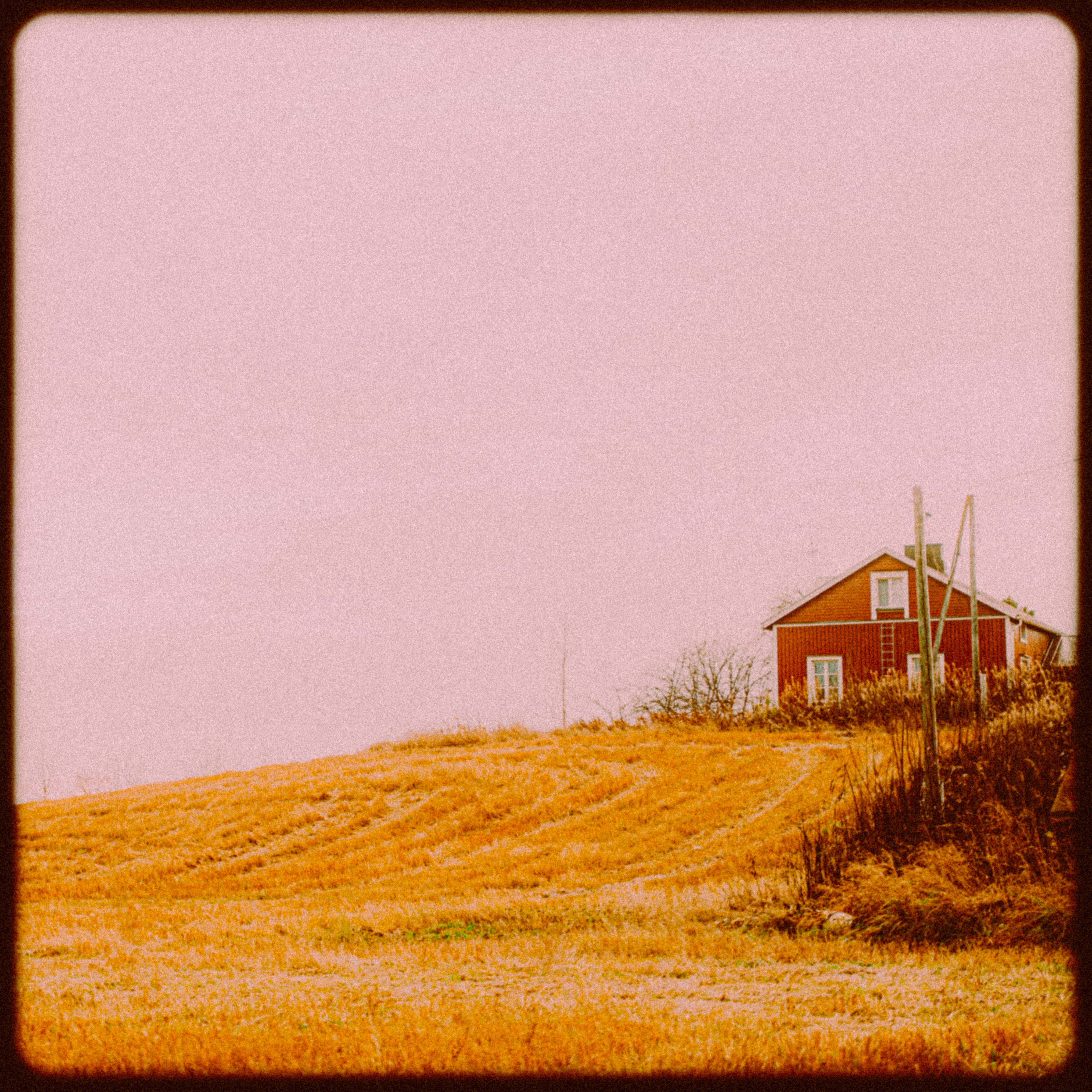 The Story That Matters Most