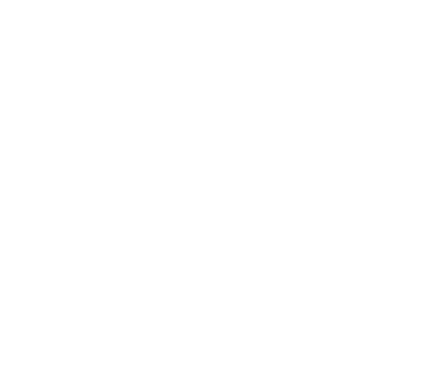 Λευκό λογότυπο με γεωμετρικό λουλουδόμορφο σχέδιο πάνω από το κείμενο domus alta σε μαύρο φόντο.