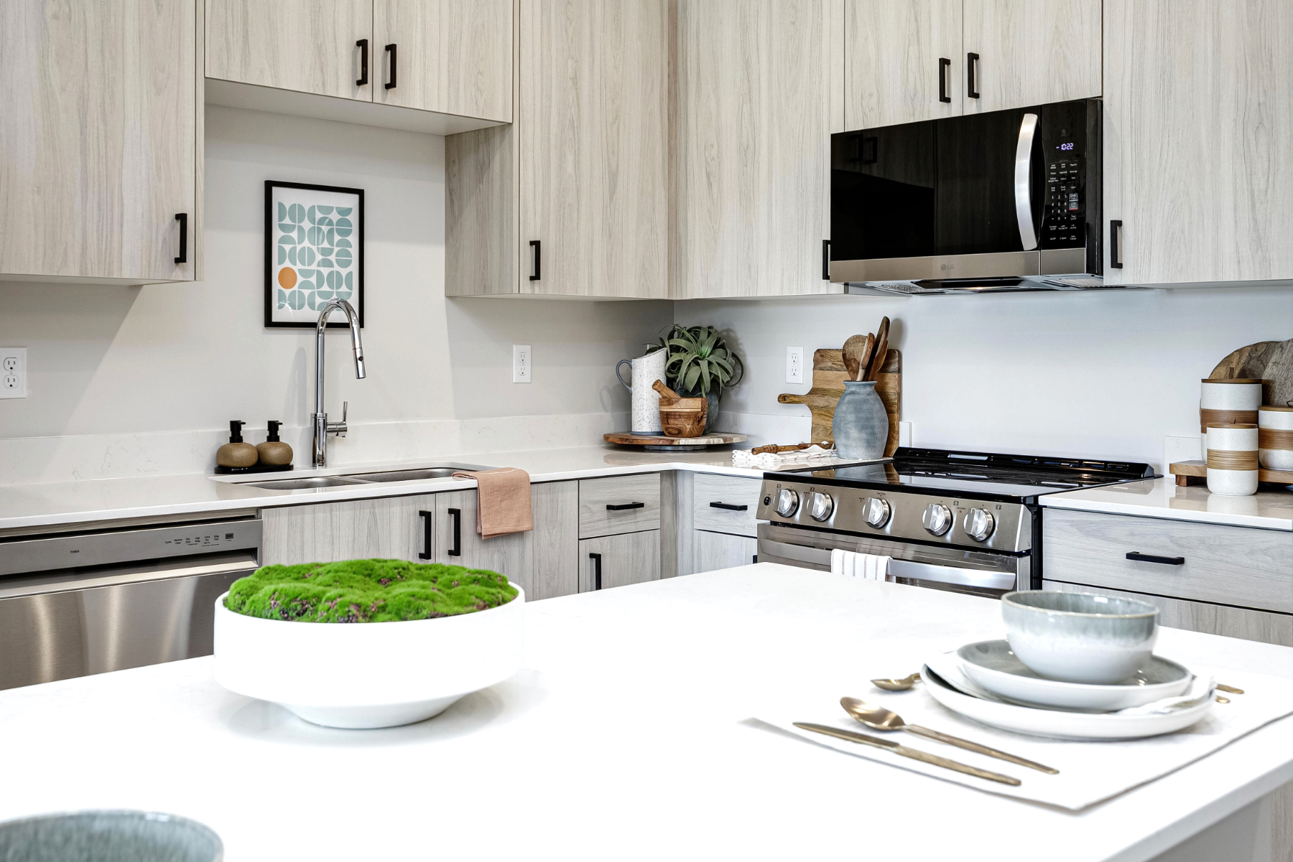 Kitchen with plant decor, plating, and stainless steel appliances