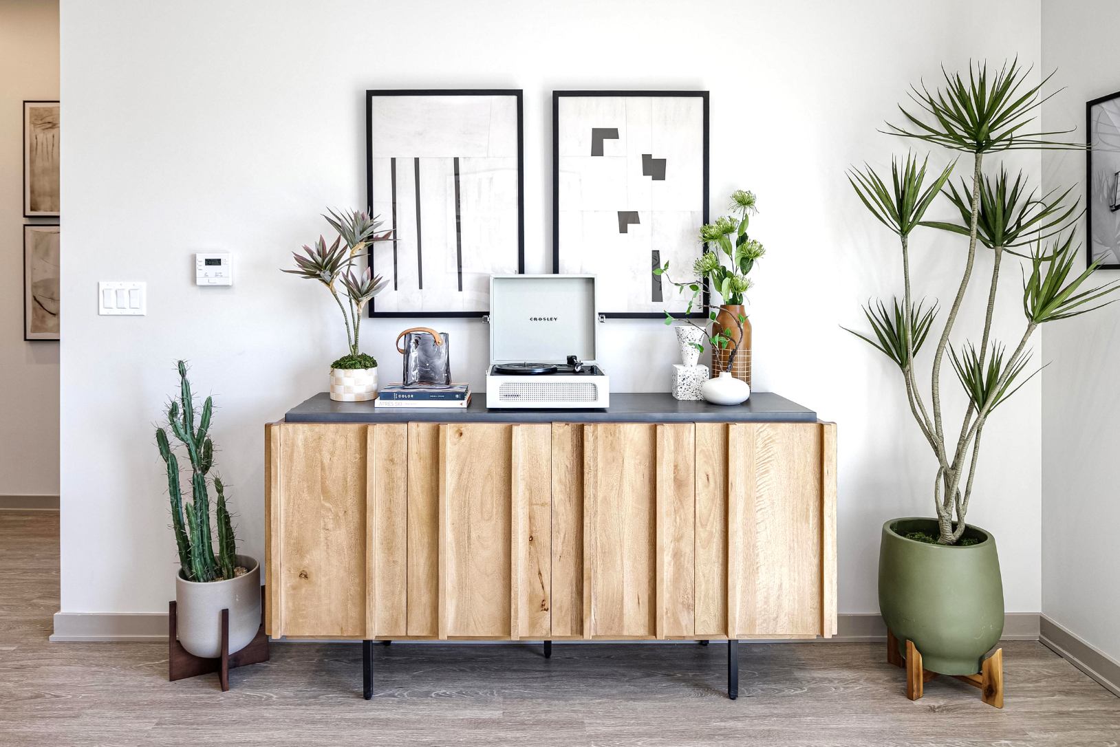 Living area decor with plants