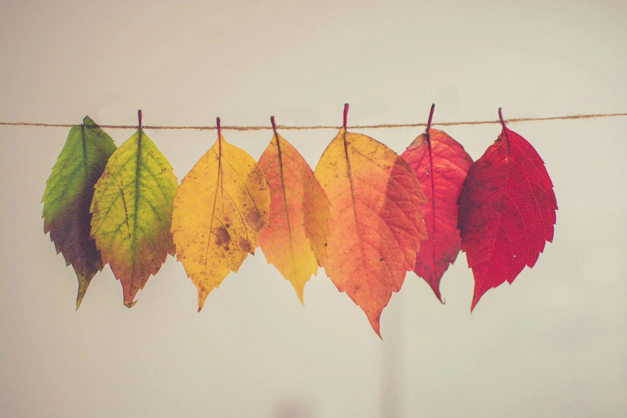 When a career change feels too risky, what can you do?