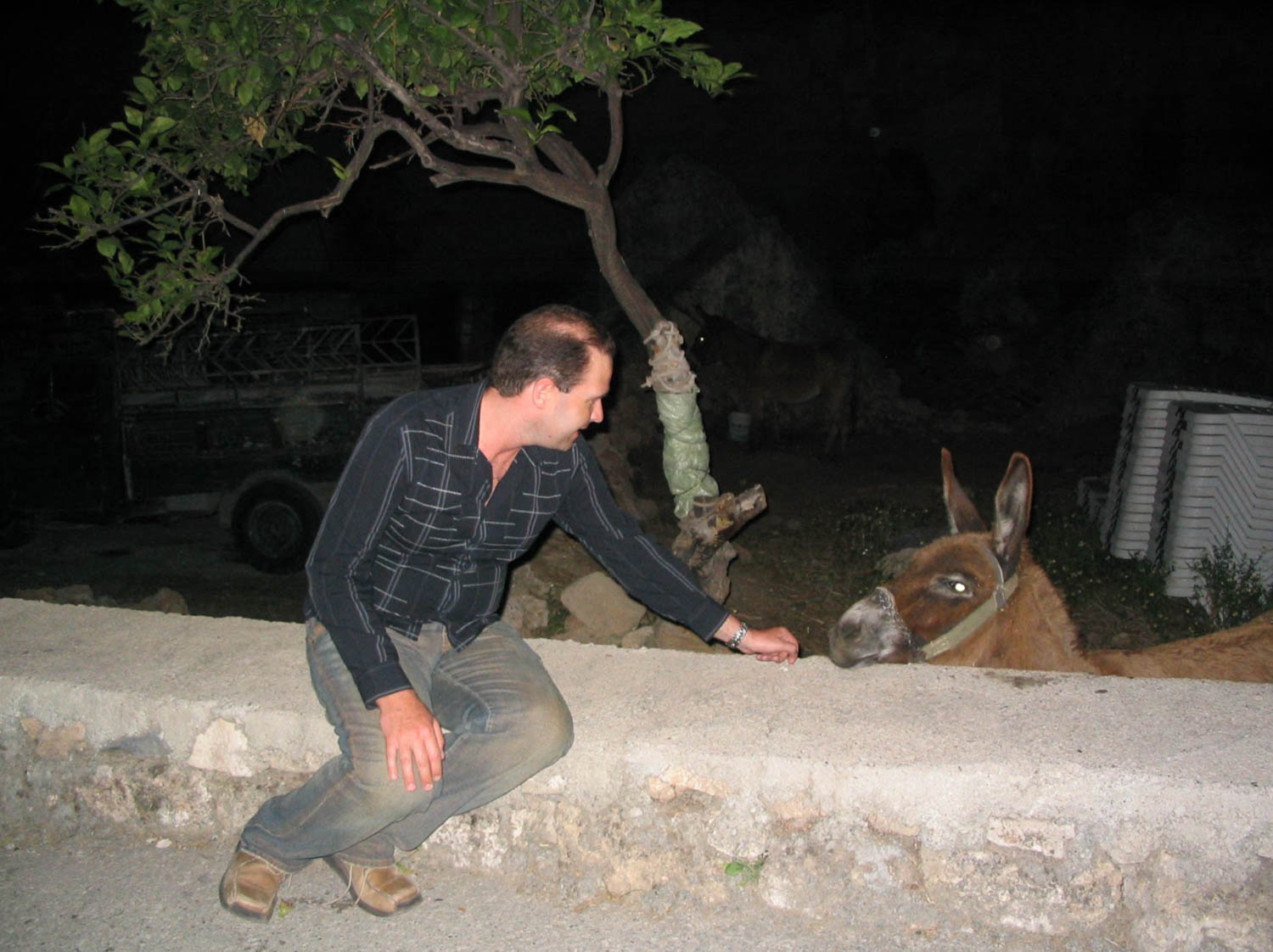 A man kneels by a low wall, reaching out to pet a donkey's head at night.
