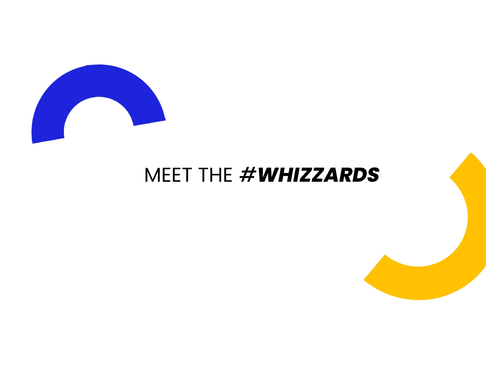 Meet the WhizzBridge Team