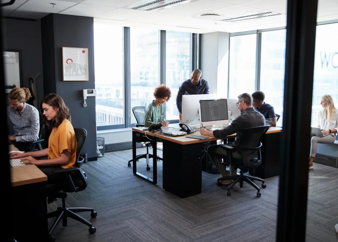 Low-code/No-code Development Experts