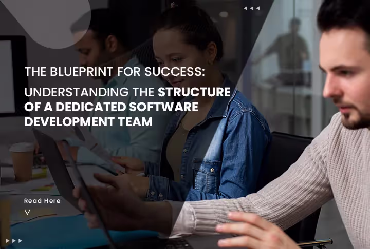 The Blueprint for Success: Understanding the Structure of a Dedicated Software Development Team