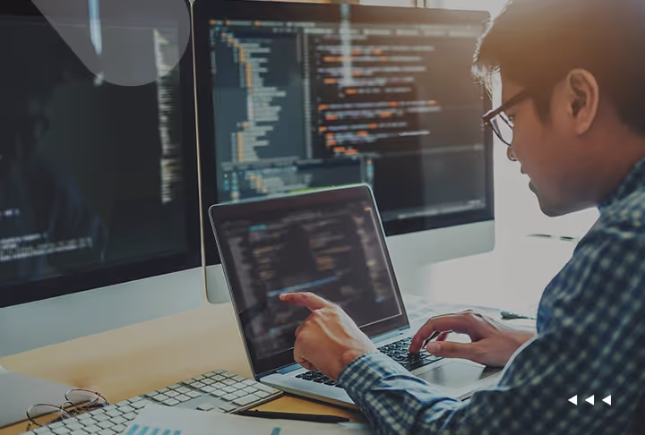 Custom Software Applications: What it is? Benefits and Successful Examples