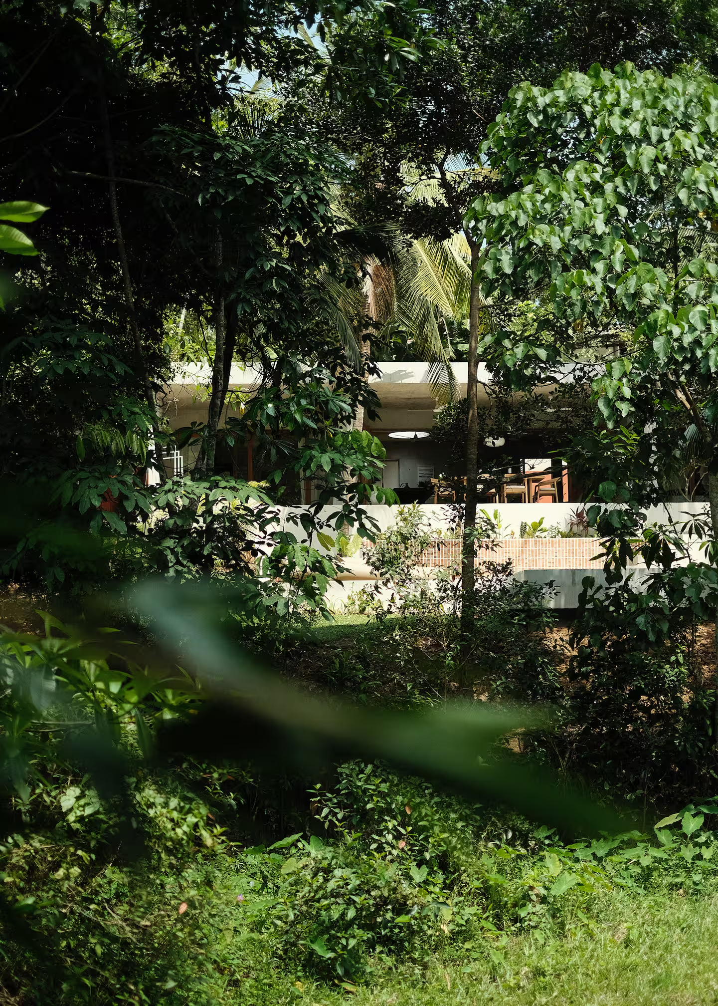 Quand le consulting devient un levier de transformation du projet.