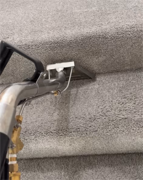 Carpet cleaning service in Los Angeles