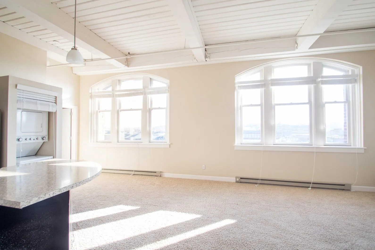 Living room with two large windows