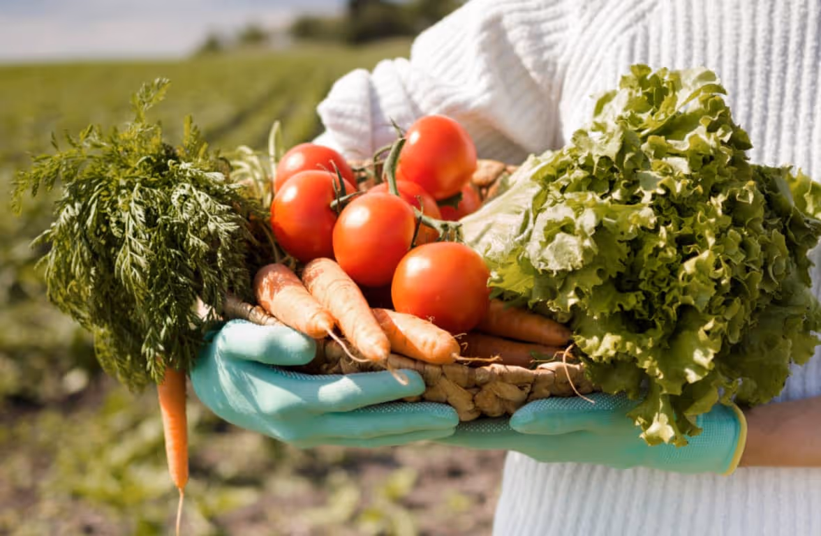 Organic Products - Farmer X Webflow Templates | BRIX Templates