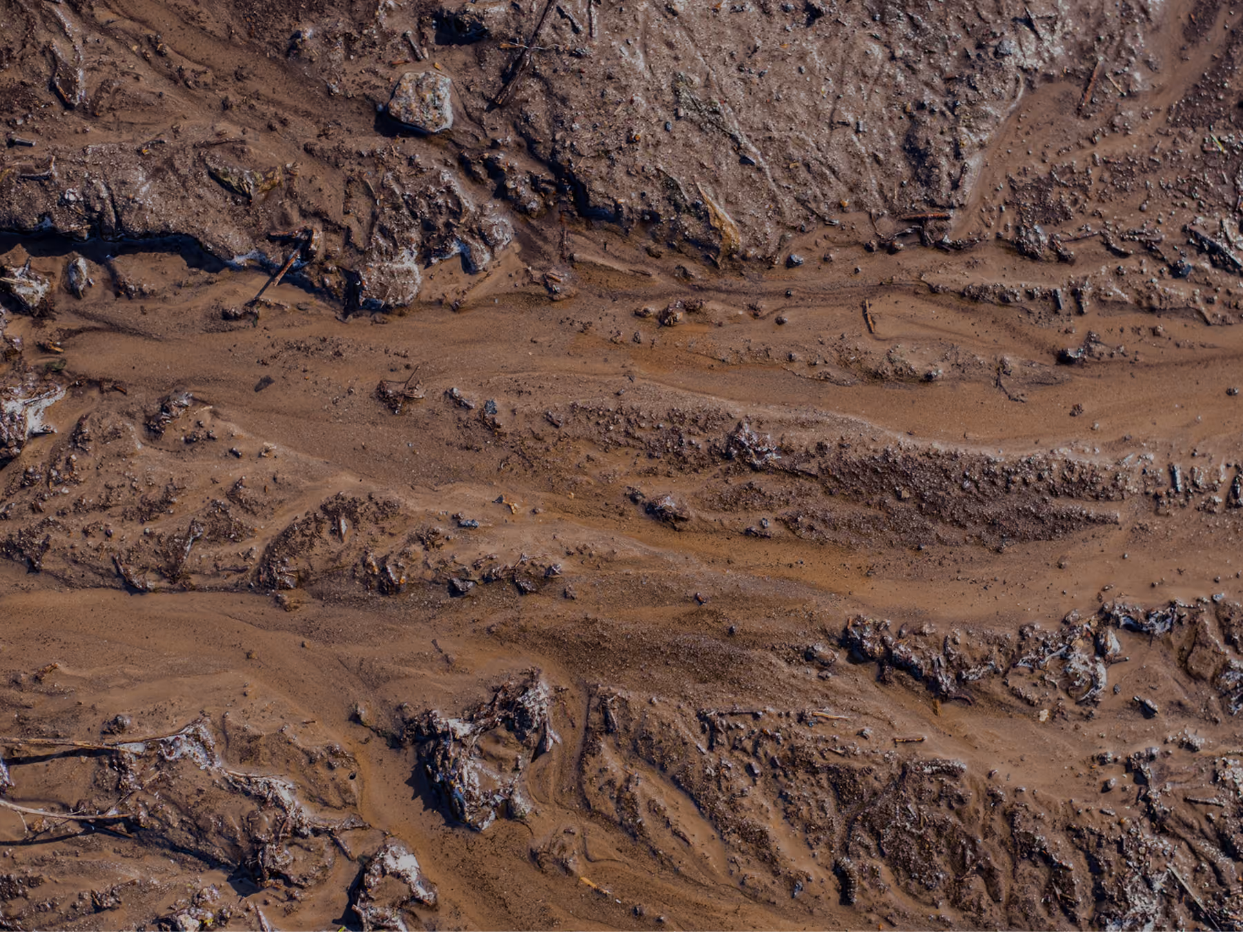 Close-up of wet, muddy soil with small rocks and organic debris.